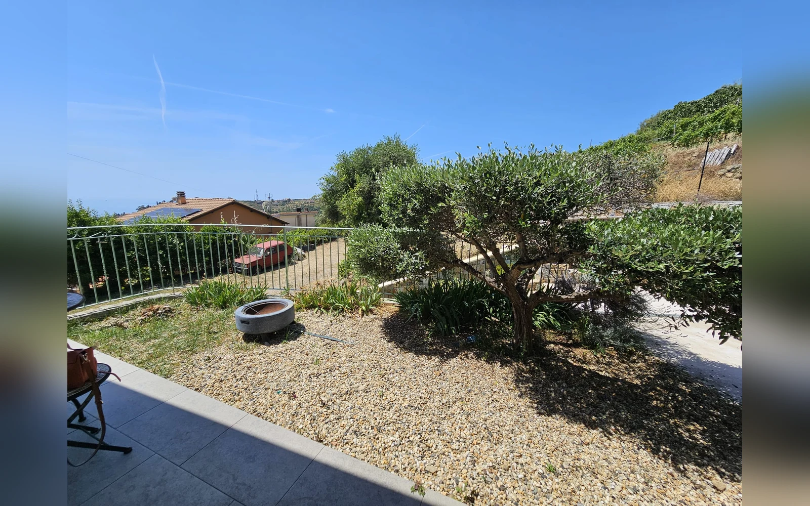 Giardino con ulivo di Casa Montenero — Bordighera (località Montenero)